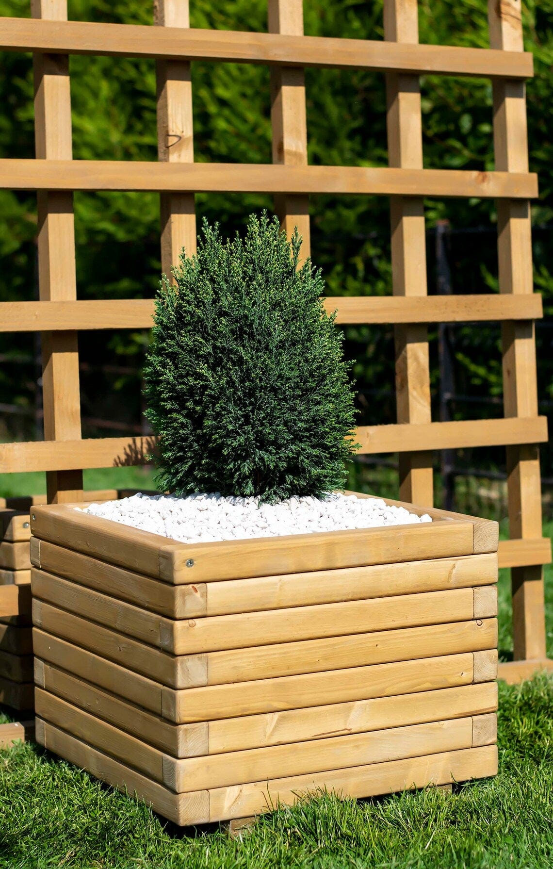 Loolpi Home saksı Ahşap Saksı