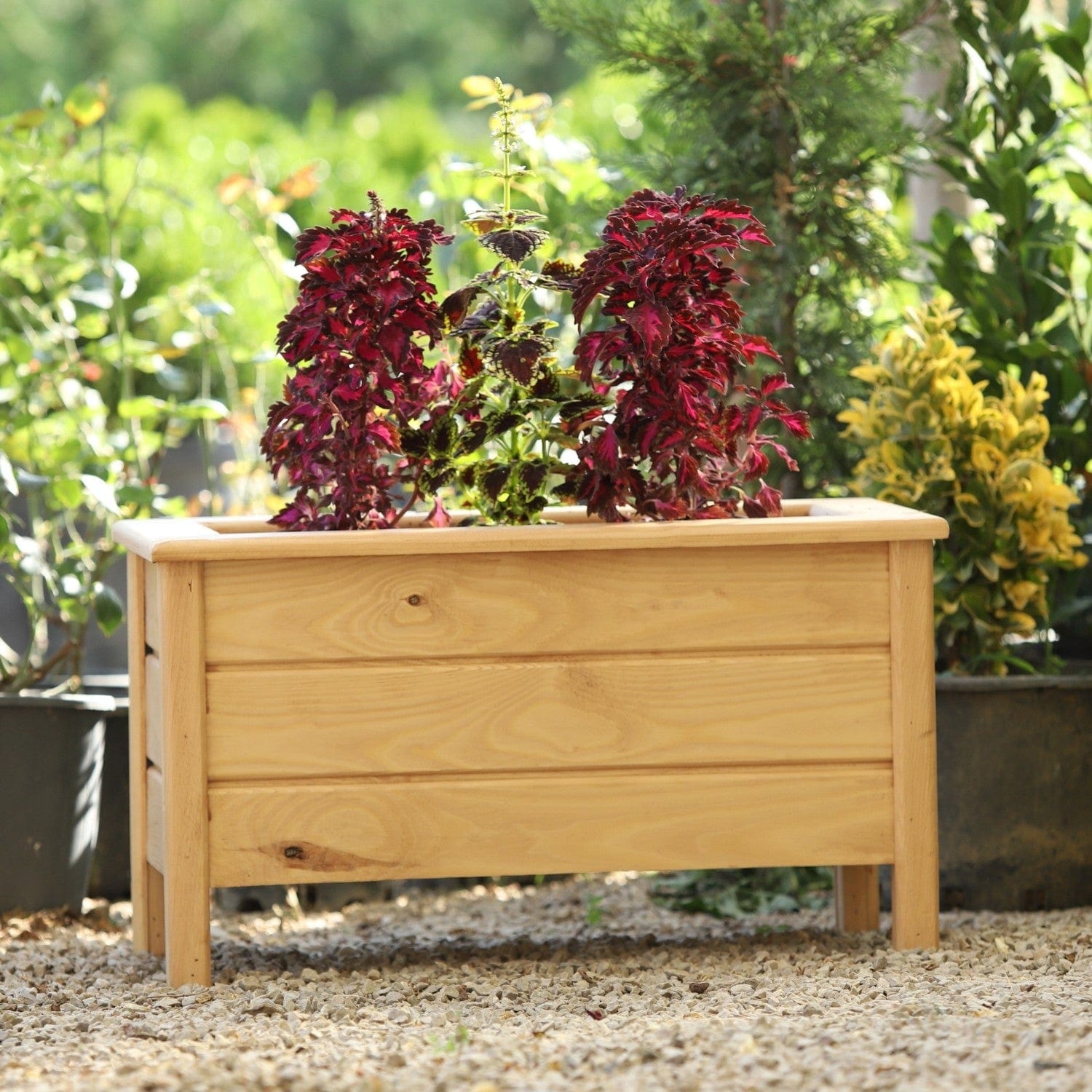 Loolpi Home saksı Ahşap Saksılık