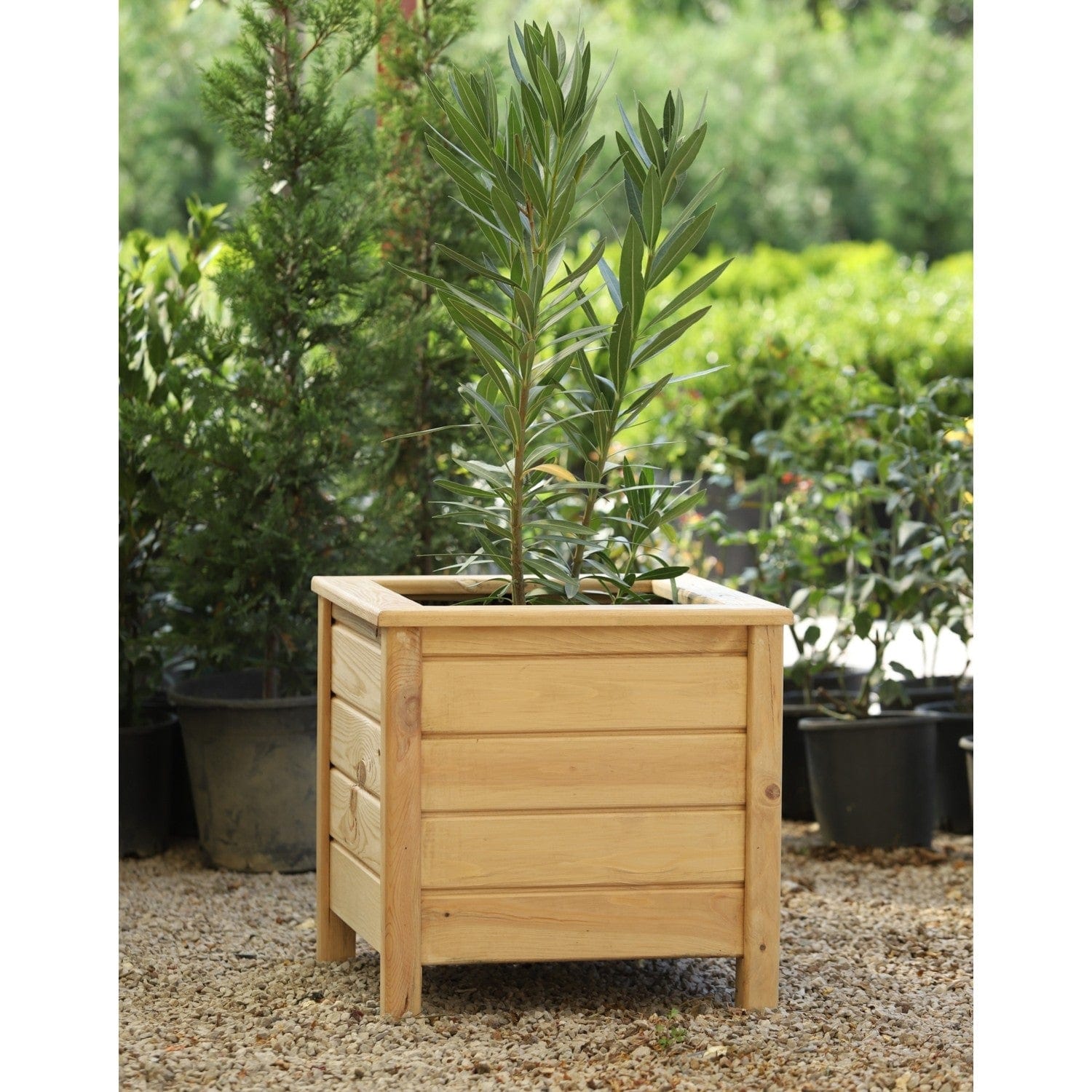 Loolpi Home saksı Ahşap Saksılık