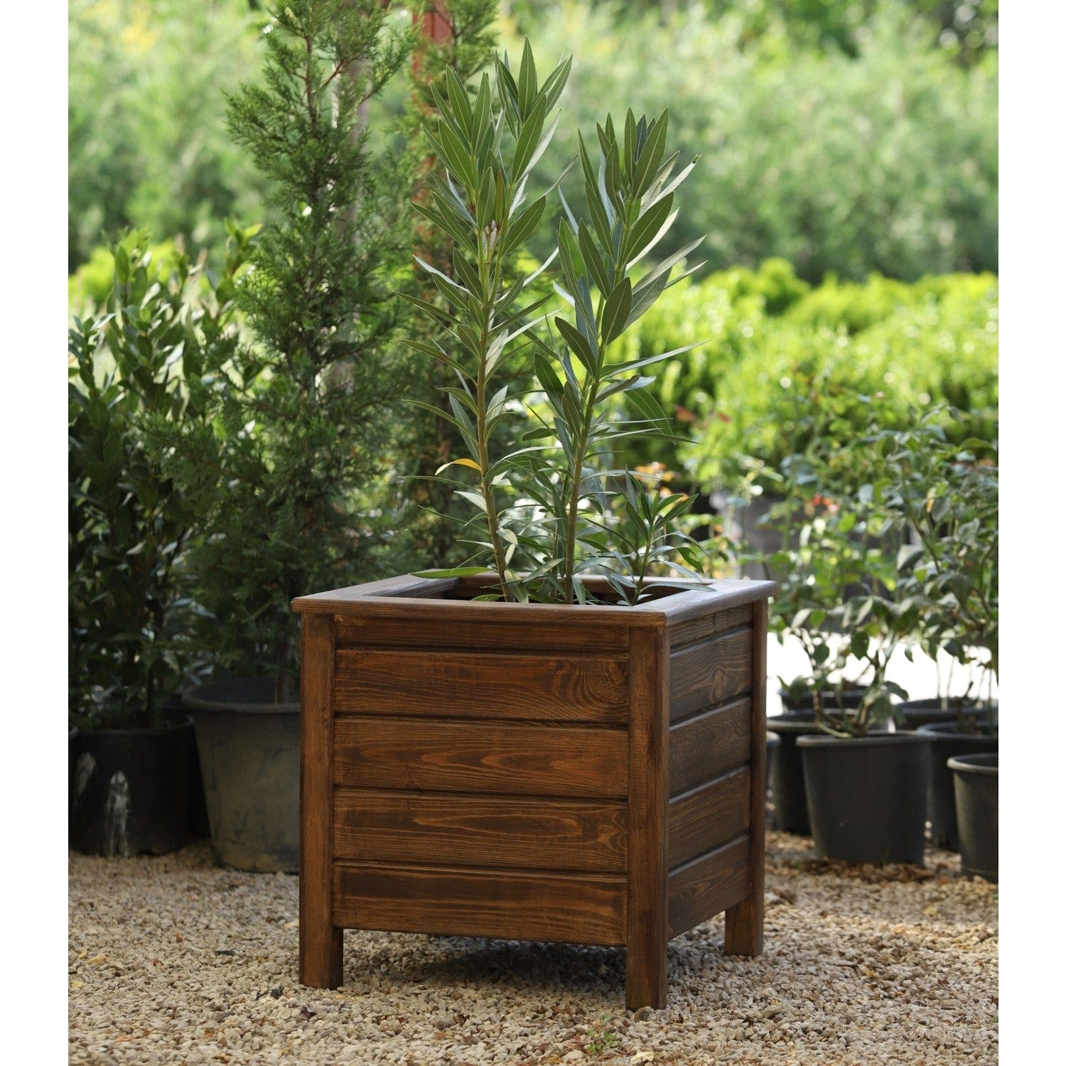 Loolpi Home saksı Ahşap Saksılık